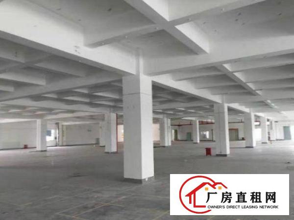  公明塘尾分租四楼标准厂房700~1000平米，配货梯，带红本
