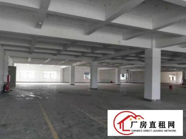  公明塘尾分租四楼标准厂房700~1000平米，配货梯，带红本