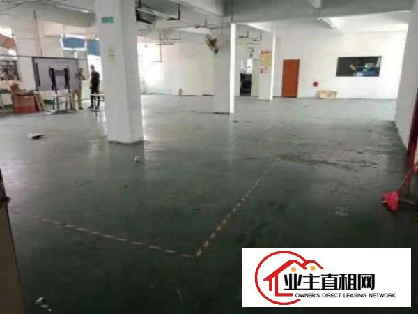  公明松白路1楼厂房650平方！现成主线，周边设施齐全