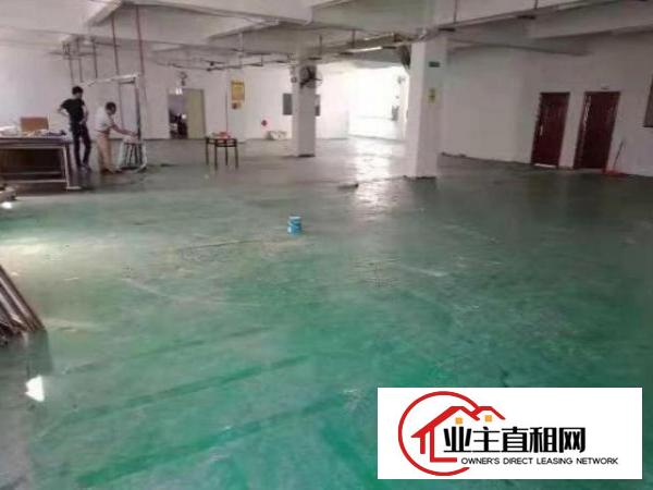  公明松白路1楼厂房650平方！现成主线，周边设施齐全