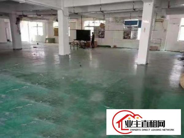  公明松白路1楼厂房650平方！现成主线，周边设施齐全