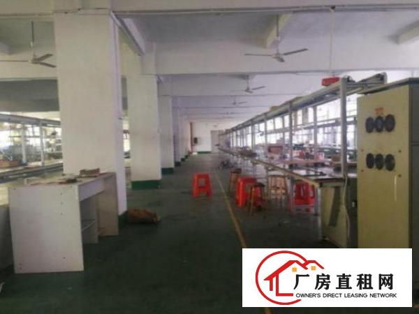  公明长圳一楼标准楼房500平方米出租，无公摊，水电齐全