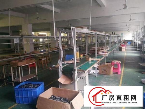  公明长圳一楼标准楼房500平方米出租，无公摊，水电齐全