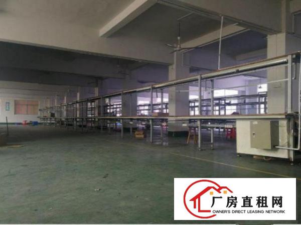  公明长圳一楼标准楼房500平方米出租，无公摊，水电齐全