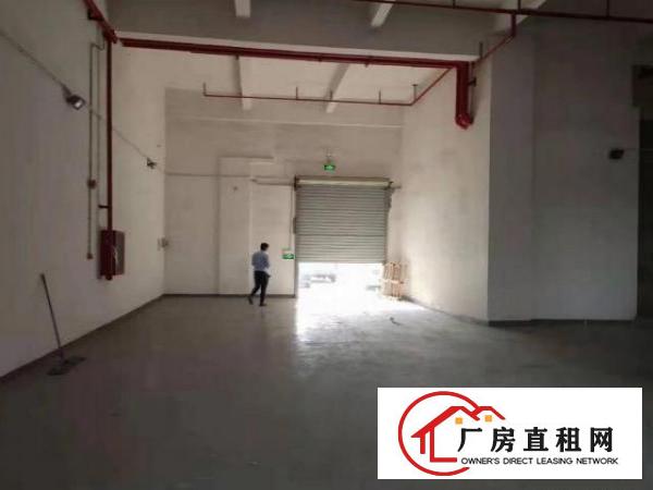  公明甲子塘一楼320平厂房出租，水电齐全，无公摊