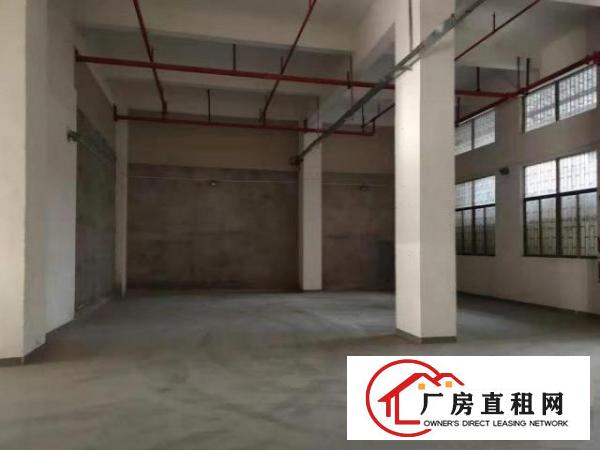  公明甲子塘一楼320平厂房出租，水电齐全，无公摊