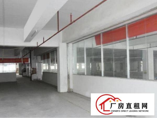 公明标准厂房一楼800平出租，适合物流电商仓储各行业