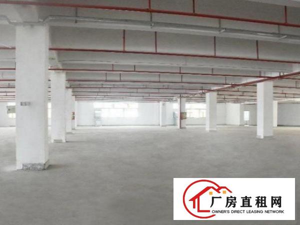  公明标准厂房一楼800平出租，适合物流电商仓储各行业