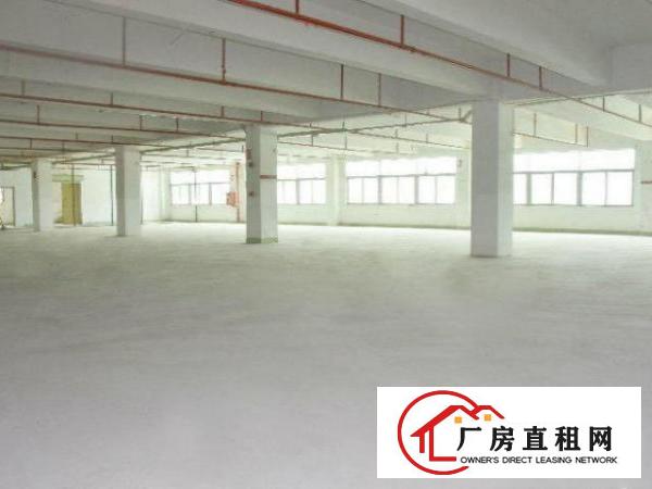  公明标准厂房一楼800平出租，适合物流电商仓储各行业