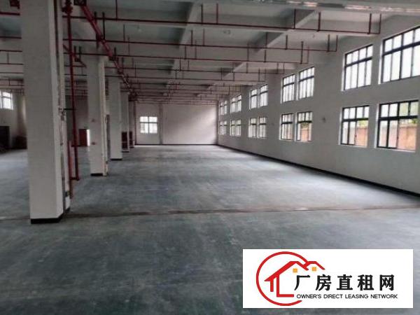  公明公常路新出标准厂房一楼800平出租，可环评！采光好