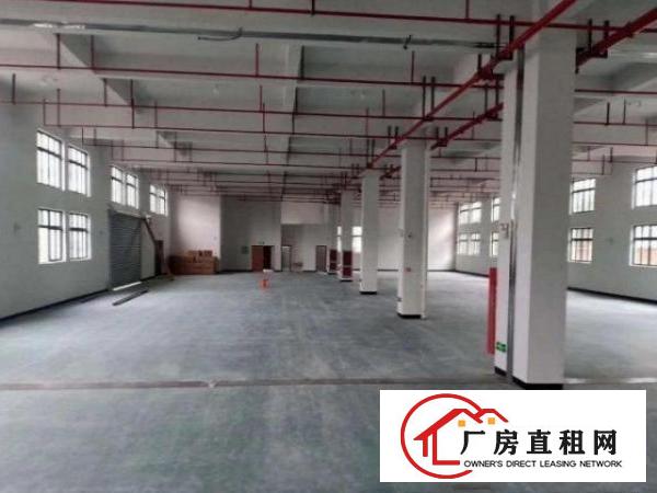  公明公常路新出标准厂房一楼800平出租，可环评！采光好