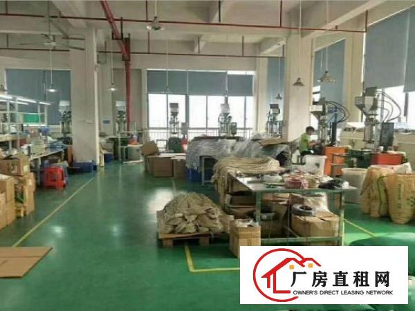  公明下村二楼精装修厂房500平出租，有电梯，位置好