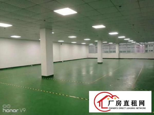  公明新围小面积厂房！楼上350平米出租，无转让费