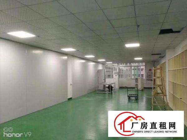  公明新围小面积厂房！楼上350平米出租，无转让费
