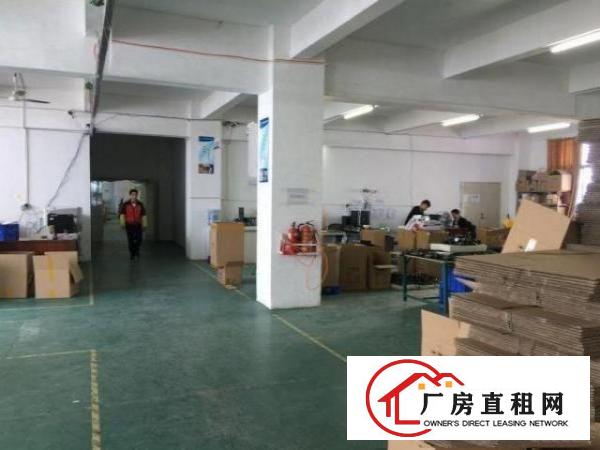  公明甲子塘新出一二楼厂房各1200平有装修可分租