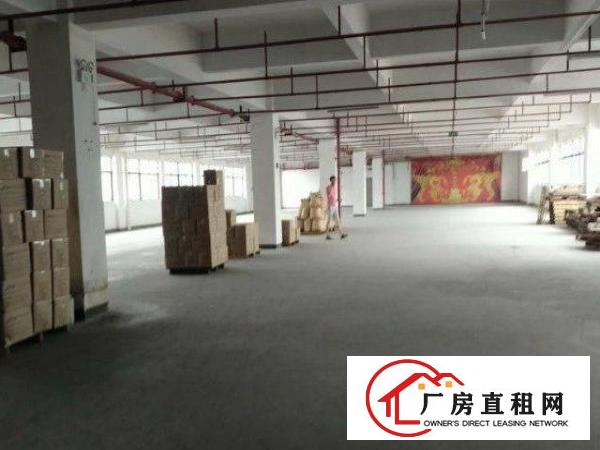 公明马山头新出一楼1000平装修厂房招租，原房东，可分租