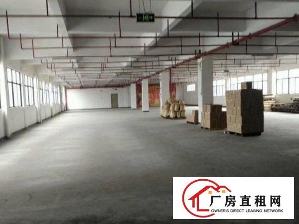  公明马山头新出一楼1000平装修厂房招租，原房东，可分租