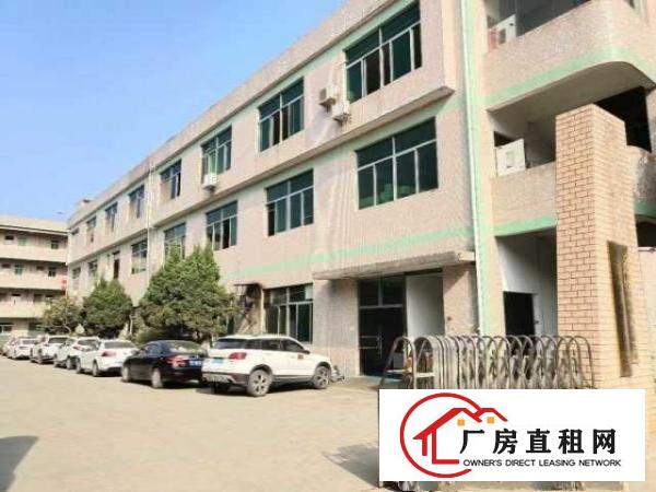  公明东周社区一楼5米高厂房380平米出租
