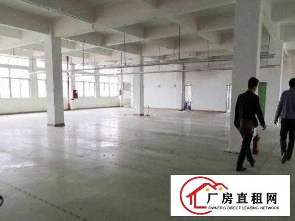  公明合水口楼上厂房450平出租，有红本，空地大