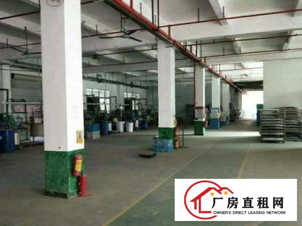  公明东坑标准1楼600平方高6米可分租！带环评！