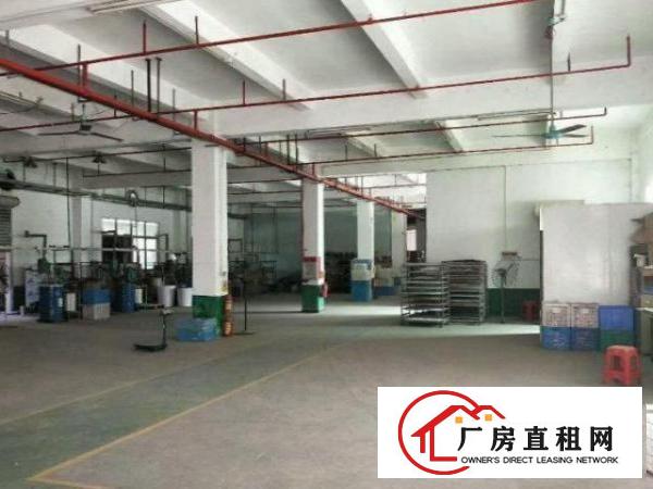  公明东坑标准1楼600平方高6米可分租！带环评！