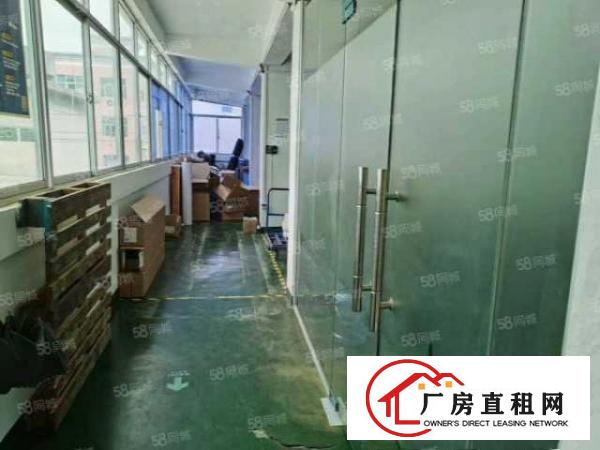  公明塘尾社区245平原电子厂房带装修免转让费招租