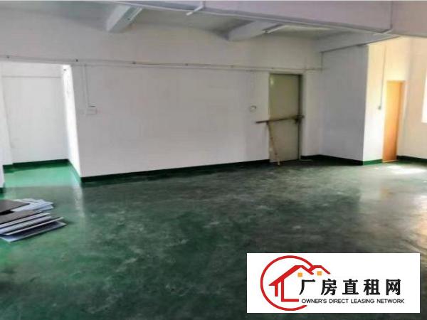 公明玉律新出楼上350平方带地坪漆装修厂房出租，水电齐全