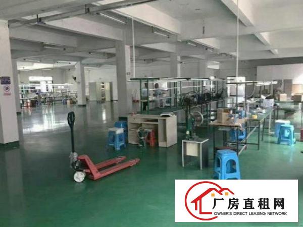  公明下村招租3楼厂房800平，形象好，适合电子