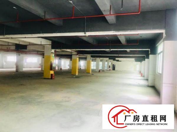  自有一手业主出租公明马山头厂房仓库（无中介）