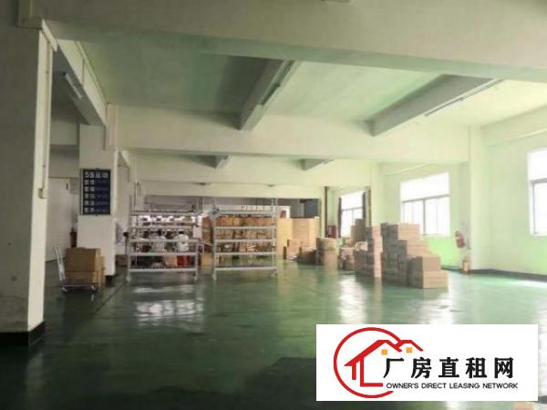  公明下村一楼标准厂房精装修分租300~600平，无公摊