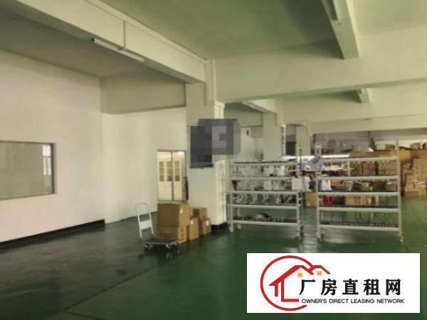  公明下村一楼标准厂房精装修分租300~600平，无公摊