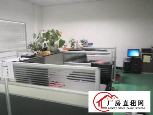  公明下村一楼标准厂房精装修分租300~600平，无公摊