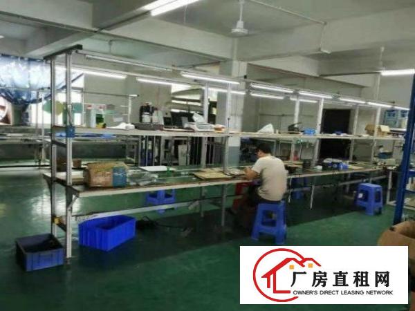  公明根竹园房东直租标准厂房楼上550平出租，九成新，价格优惠