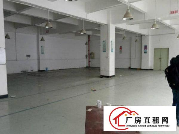  公明公常路出租楼上800平八成新适合加工电子行业