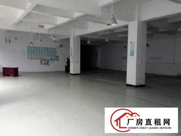  公明公常路出租楼上800平八成新适合加工电子行业
