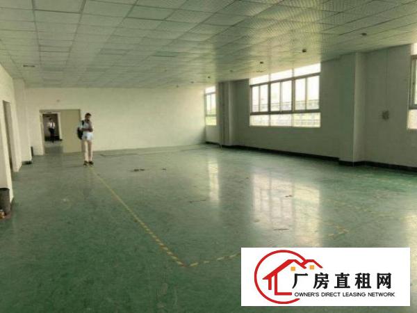  公明观光路新房源！！原房东楼上200平小面积厂房出租采光好