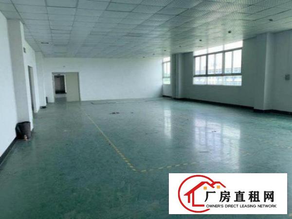  公明观光路新房源！！原房东楼上200平小面积厂房出租采光好