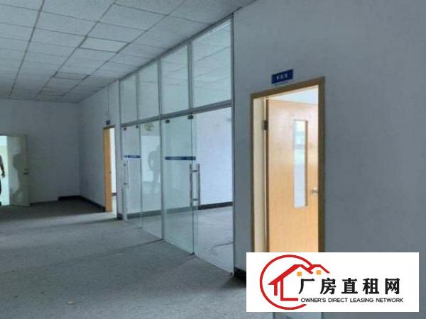  公明观光路新房源！！原房东楼上200平小面积厂房出租采光好