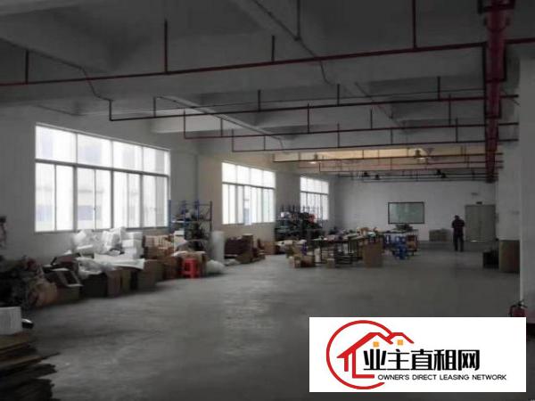  公明新围原房东分租楼上400~~800平方(可办环评）