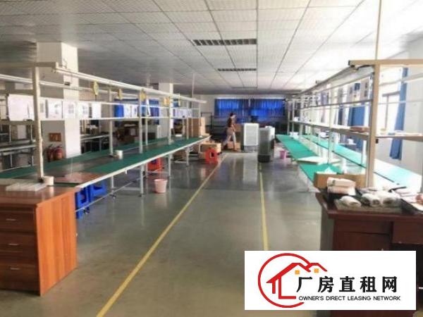  公明根玉路新出3楼实际面积800平原房东厂房出租，带装修
