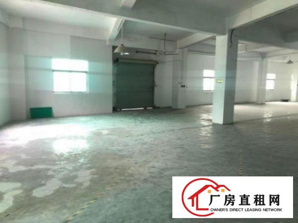 公明西田标准厂房三楼890平方出租，形象好有电梯