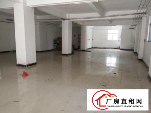  公明新羌社区一楼标准厂房出租300平