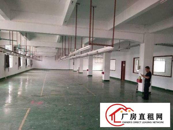  公明西田标准厂房2楼650平方现成装修厂房招租，水电齐全
