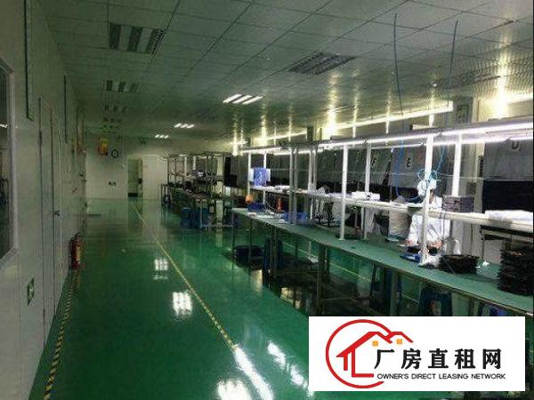  公明上村新出2楼900平方带装修厂房招租，入住即可生产