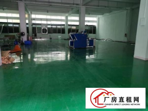  公明迳口社区出租厂房一楼800平跟二楼350平
