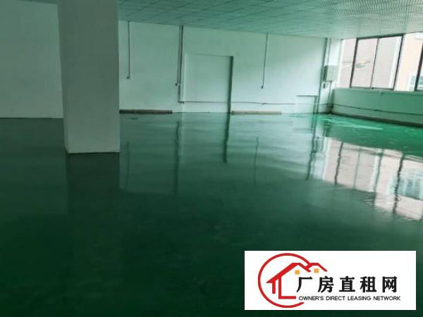  公明迳口社区出租厂房一楼800平跟二楼350平