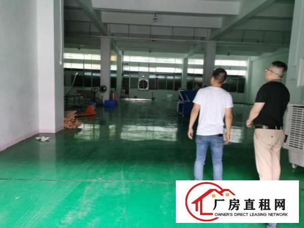  公明迳口社区出租厂房一楼800平跟二楼350平