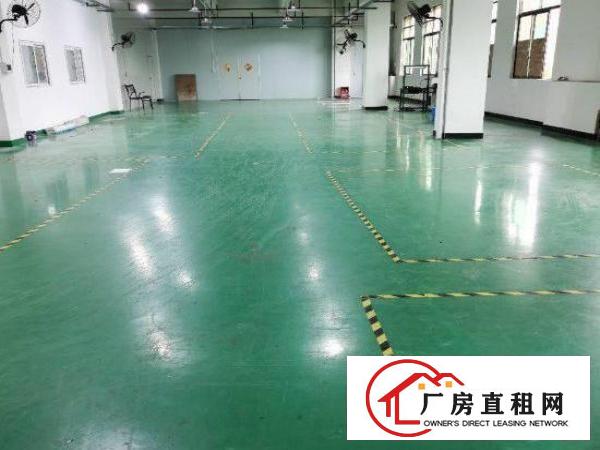  公明迳口社区出租厂房一楼800平跟二楼350平