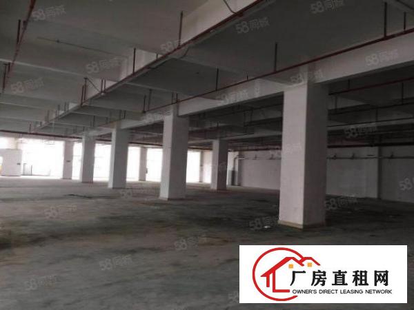  原房东公明田寮新出独院4500平带装修厂房出租！