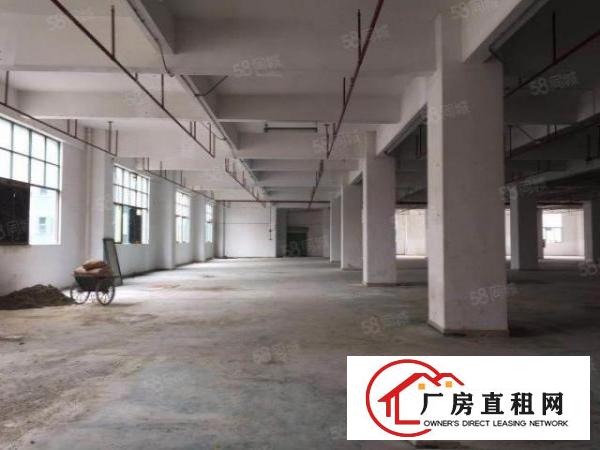  原房东公明田寮新出独院4500平带装修厂房出租！